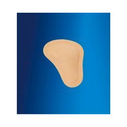 Anatomic Help Πέλμα Μεταταρσίου (T)