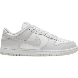 Nike Dunk Low Γυναικεία Sneakers Γκρι DD1503-103