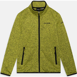 Icepeak Παιδική Ζακέτα Fleece με Φερμουάρ Lime 451739872-520