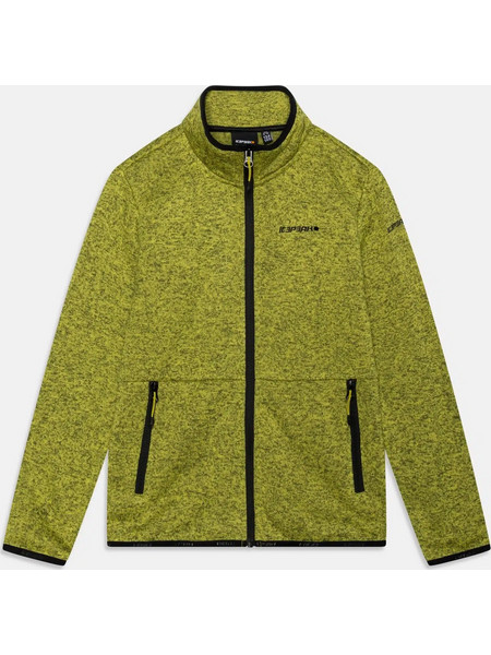 Icepeak Παιδική Ζακέτα Fleece με Φερμουάρ Lime 451739872-520