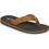 Cool Shoe Ανδρικές Σαγιονάρες Καφέ S1SLA084-