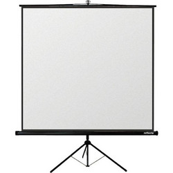 Reflecta 87652 Οθόνη Προβολής Projector Δαπέδου 1:1 200x200cm / 109"