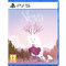 Neva PS5