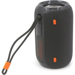 T&G TG-419 Ηχείο Bluetooth 10W με Ραδιόφωνο Γκρι