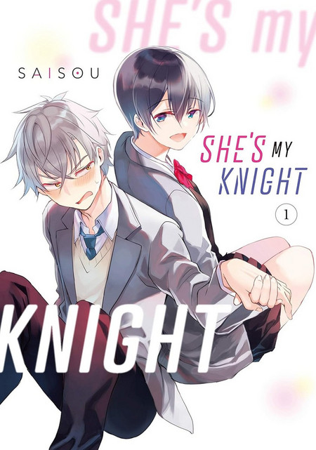 She's My Knight, Volume 1