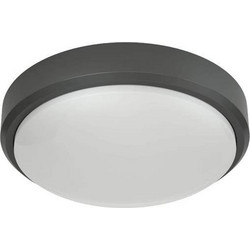 It-Lighting 80300240