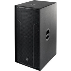 DAS Audio Action S218