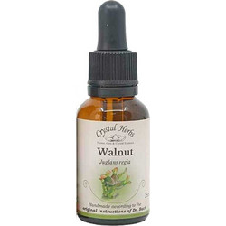 Crystal Herbs Walnut Ανθοΐαμα σε Σταγόνες 25ml
