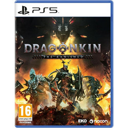 Dragonkin The Banished PS5