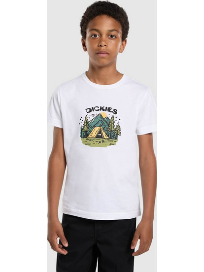 Dickies Παιδικό T-Shirt Κοντομάνικο Λευκό Πράσινο DK0A88DA-0WH