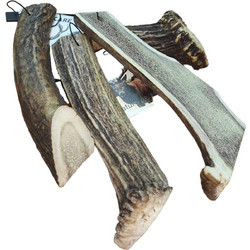 Pawc are Red Antler Chew Large 15cm 60-100gr