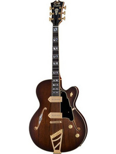 D' Angelico Deluxe 59 Ηλεκτρική Κιθάρα Hollow με Μαγνήτες SS & Ταστιέρα Ebony Satin Brown Burst