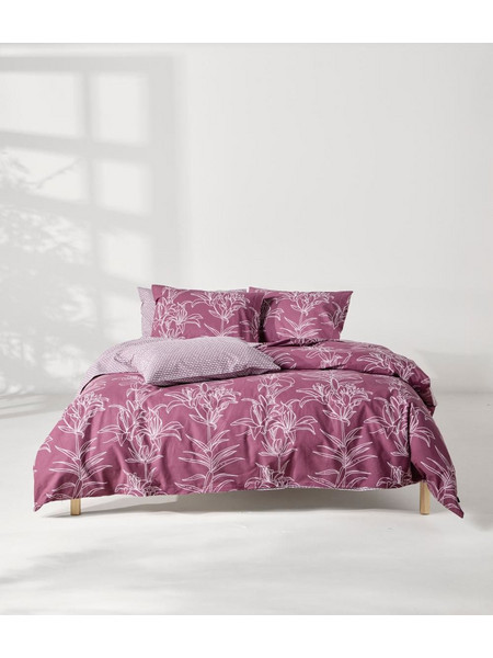 Kentia Σετ Σεντόνια Υπέρδιπλα Βαμβακερά 240x270 Saporo 05