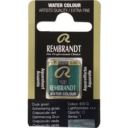 Royal Talens Rembrandt 630 Dusk Green Νερομπογιά 05866301