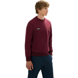 Ellesse Ανδρικό Αθλητικό Φούτερ Μπορντό SHD24566-800