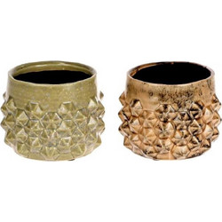 Plastona Κασπώ Εσωτερικού Χώρου Πήλινο 12x9cm 012.312517001
