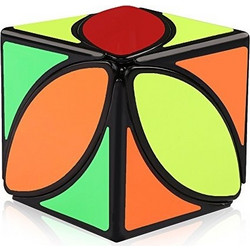 Maple Leaf Cube x2