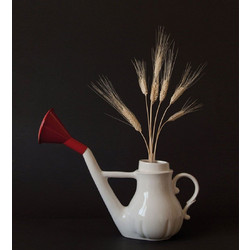 Διακοσμητικό Πορσελάνινο Ποτιστήρι Swan 10067 White Seletti Πορσελάνη
