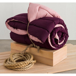 Vesta Πάπλωμα Υπέρδιπλο 220x230 Micro 20 Purple