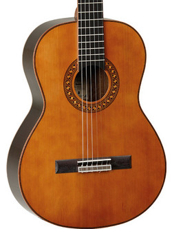 Tanglewood EMD3 Enredo Madera Dominar