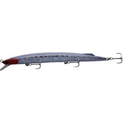 Akami Wild Τεχνητό Δόλωμα 19cm 34gr RH