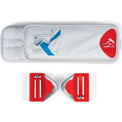 Chicco Trio Car Kit