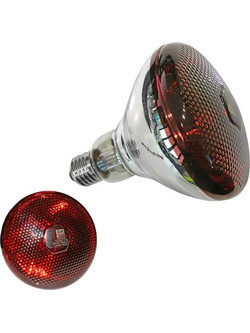 Adeleq Λάμπα Σκληράς Υάλου R115 Θερμάνσεως E27 175W 240V Κόκκινη 14-0027175