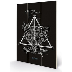 HARRY POTTER - Deathly Hallows - Wood Print 20x29.5