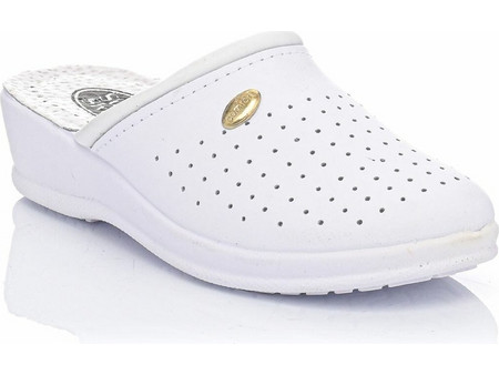 SunShine 121 White