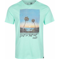 O'Neill Loren T-Shirt Ανδρικό Κοντομάνικο (2850123-15043) Μέντα