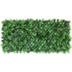 Πτυσσόμενη Πέργκολα Κισσός Eden 6191-7 100x200cm Green Supergreens 100X200