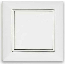 Casambi wh EnOcean 2fach Wall switch RW2EBTW 808922
