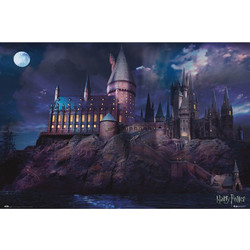 385221 ΑΦΙΣΑ 91,5Χ61ΕΚ HARRY POTTER HOGWARTS