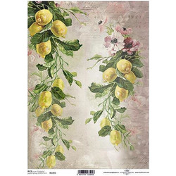 443338 ΡΙΖΟΧΑΡΤΟ LEMONS 21X29ΕΚ. (ITD-R1193) ΠΑΚ
