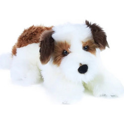 Rappa Σκύλος Shih-tzu 45cm