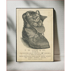 Πίνακας, F. W. Lucas & Co. dealers in fashionable boots and shoes at popular prices, New England one price shoe store, 186 Essex Street, Salem