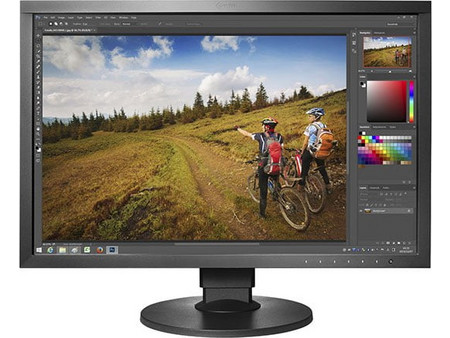 Eizo ColorEdge CS2420 IPS Monitor 24.1" 1920x1200 FHD 61Hz 13ms
