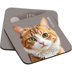 Action Lab Souver Tiger Cat Red 2pcs