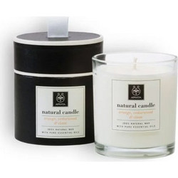 APIVITA - Natural Candle Φυσικό Κερί Πορτοκάλι, Κέδρος & Γαρύφαλλο | 235gr