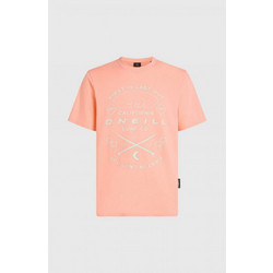 O'Neill Μπλούζα T-Shirt Men Front GRAPHIC PINK 2850300-14035