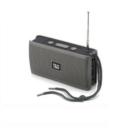 T&G TG-282 Ηχείο Bluetooth 5W με Ραδιόφωνο Γκρι