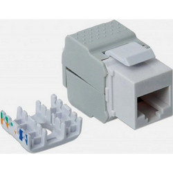 Πρίζα Keystone RJ45 Cat6 UTP Intellinet IWP-MD C6/TLU - Toolless, Νικέλιο & Λευκή