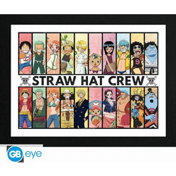 One Piece - Past & Present Αφίσα σε Κάδρο (31x41cm)