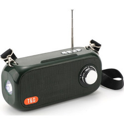 T&G TG-613 Ηχείο Bluetooth 5W με Ραδιόφωνο Κυπαρισσί