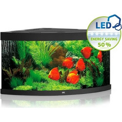 Juwel Aquarium Trigon 350 Ενυδρείο Ψαριών με Θερμαντήρα, Κυκλοφορητή & Φίλτρο 350lt Μαύρο