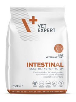 VetExpert Intestinal Cat 250gr