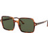 Ray-Ban RB1973 954/31 Γυναικεία Γυαλιά Ηλίου Τετράγωνα Κοκάλινα Ταρταρούγα με Πράσινο Polarized Φακό