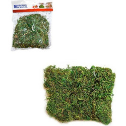Διακοσμητικό Γρασίδι Για Συνθέσεις - Grass deco-3800093-254015