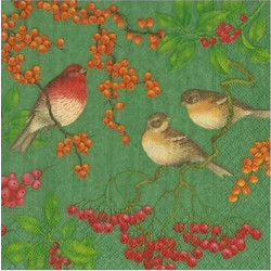 Xαρτοπετσέτες Cocktail Birds And Berries Green 12.5x12.5cm Caspari (20 Tεμάχια)