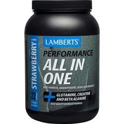 Lamberts Performance All In One Strawberry Πρωτεΐνη Ορού Γάλακτος 1.45kg